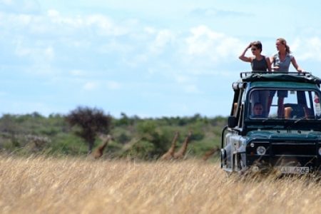 Masai Mara Big Cat Safari